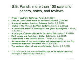 S.B. Parish: more than 100 scientific
papers, notes, and reviews
 Trees of southern California. Parish, S. B. (1894)
 Little or Little-Known Plants of Southern California. (1898-99)
 A group of western American Solanums. Parish, S. B. (1901)
 Sketch of the Flora of Southern California. Parish, S. B. (1903)
 A contribution toward a knowledge of the genus Washingtonia. - Parish,
S. B., (1907)
 A catalogue of plants collected in the Salton Sink. Parish, S. B. (1913)
 Plant ecology and floristics of Salton Sink. Parish, S. B. (1914)
 Observations in the Colorado Desert. Parish, S. B. (1915)
 An enumeration of the pteridophytes and spermatophytes of the San
Bernardino Mountains, California. Parish, S. B. (1917)
 The immigrant plants of southern California. Parish, S. B. (1920)
 It is unfortunate that the Parish manuscript on the Mojave flora was
destroyed in the Berkeley fire in 1923.
© Project SOUND
 