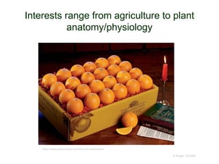 Interests range from agriculture to plant
anatomy/physiology
© Project SOUND
https://www.pittmandavis.com/tiny-tim-navels/p/ttn/
 