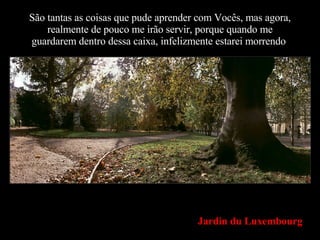 São tantas as coisas que pude aprender com Vocês, mas agora, realmente de pouco me irão servir, porque quando me guardarem dentro dessa caixa, infelizmente estarei morrendo . Jardin du Luxembourg 