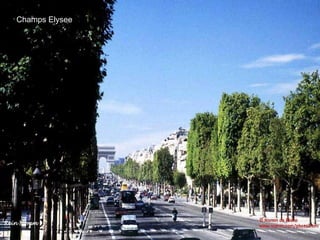 Champs Elysee 