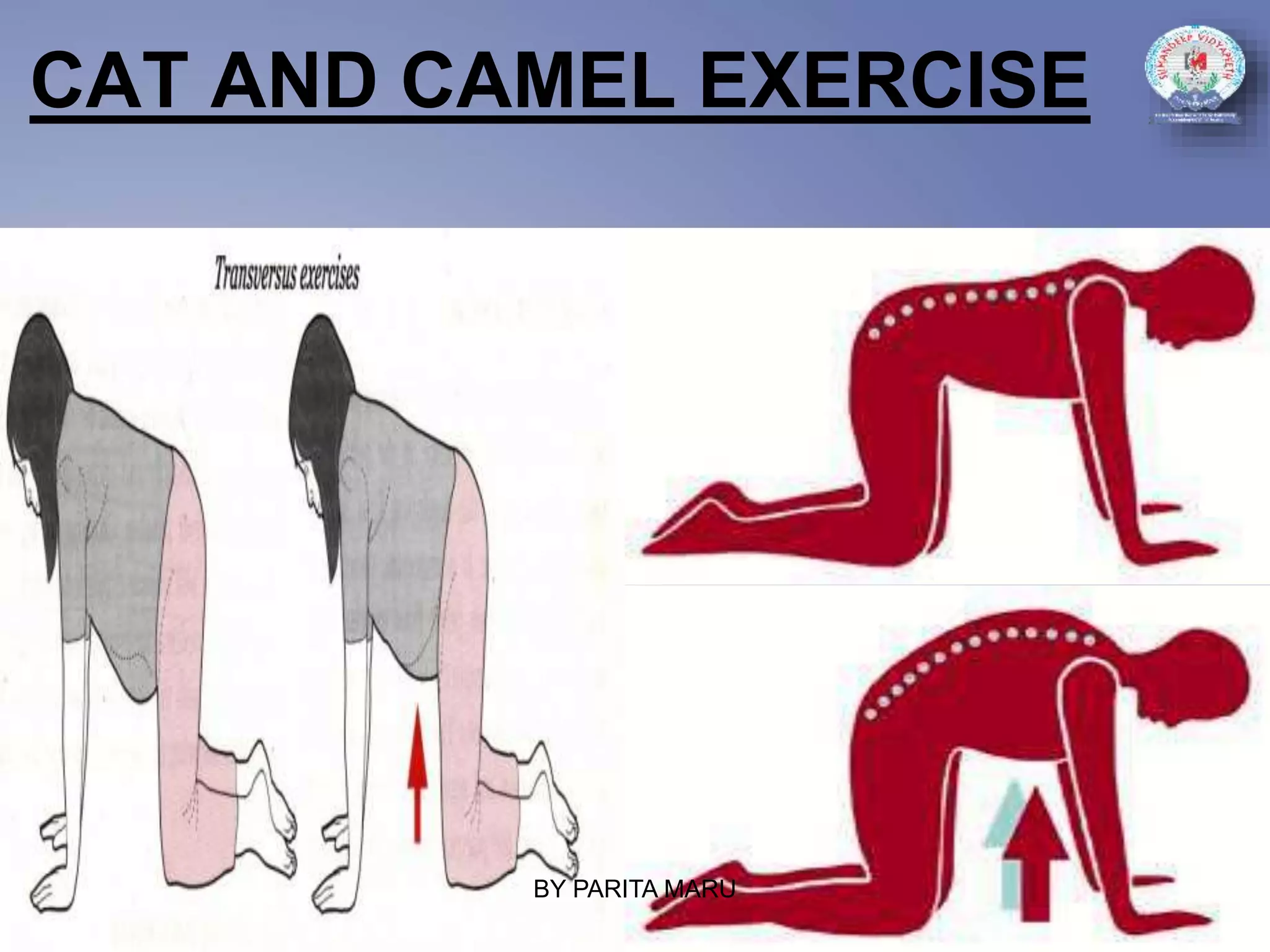 CAT AND CAMEL EXERCISE
BY PARITA MARU
 