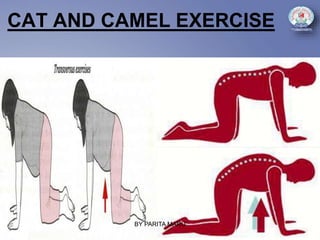 CAT AND CAMEL EXERCISE
BY PARITA MARU
 