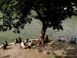 courtesy of  Ham Bouali 