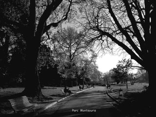 Parc  Montsouris 