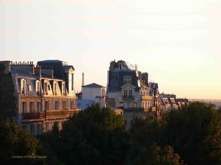 courtesy of David Maguet
 