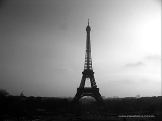 courtesy of Constellation de chiens blog
 