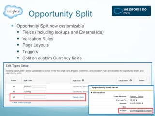 Opportunity Split 
 Opportunity Split now customizable 
 Fields (including lookups and External Ids) 
 Validation Rules 
 Page Layouts 
 Triggers 
 Split on custom Currency fields 
 