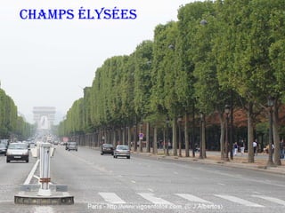 CHAMPS ÉLYSÉES

 