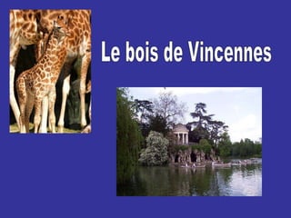 Le bois de Vincennes 