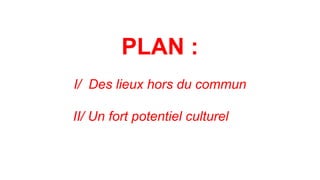 PLAN :
I/ Des lieux hors du commun
II/ Un fort potentiel culturel
 