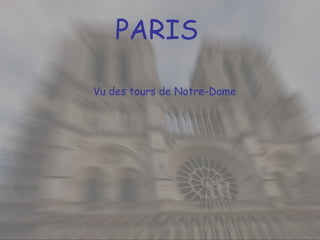 PARIS Vu des tours de Notre-Dame 