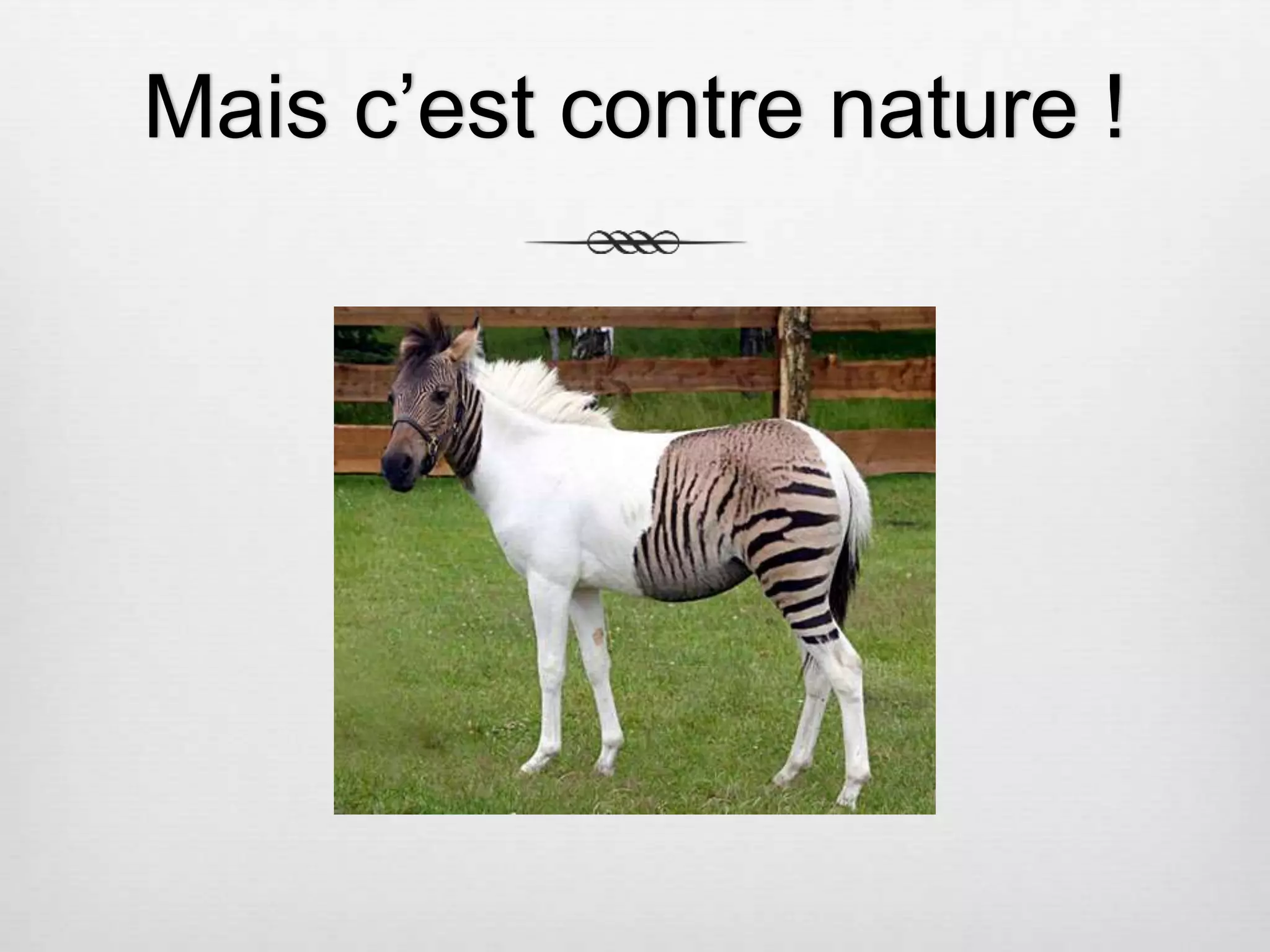 Mais c’est contre nature ! 