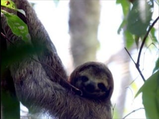 Pourquoi la performance?