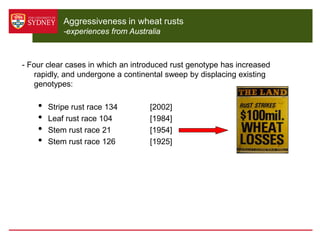 Aggressiveness in wheat rusts
            -experiences from Australia



- Four clear cases in which an introduced rust genotype has increased
    rapidly, and undergone a continental sweep by displacing existing
    genotypes:

    •   Stripe rust race 134         [2002]
    •   Leaf rust race 104           [1984]
    •   Stem rust race 21            [1954]
    •   Stem rust race 126           [1925]


- In each case, the “new” race did not have virulence attributes that conferred
    a fitness advantage (i.e. virulence for resistance genes)

- Evidence available strongly supports the hypothesis that each new genotype
   was more aggressive
 