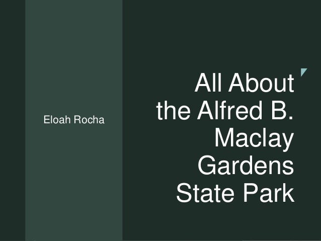 All About The Alfred B Maclay Gardens State Park