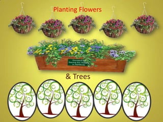 Planting Flowers
& Trees
 