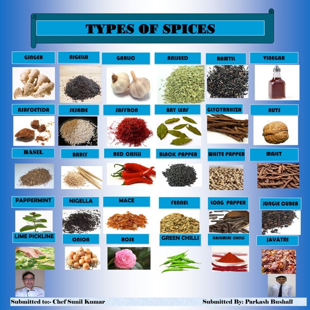 TYPES OF SPICE PDF