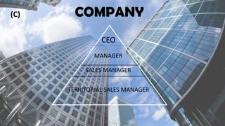 COMPANY
CEO
MANAGER
TERRITORIAL SALES MANAGER
SALES MANAGER
(C)
 