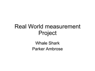 Real World measurement Project Whale Shark Parker Ambrose 
