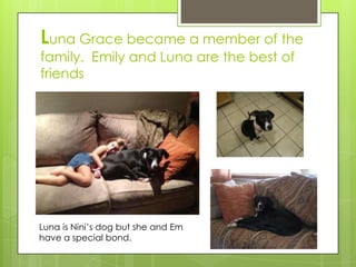 Luna Grace became a member of the
family. Emily and Luna are the best of
friends




Luna is Nini’s dog but she and Em
have a special bond.
 