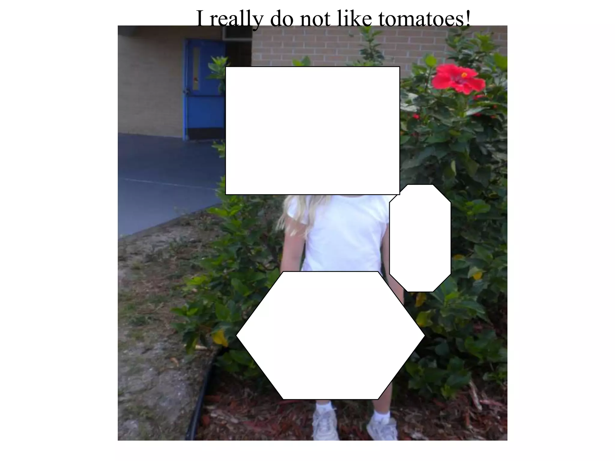 I really do not like tomatoes!