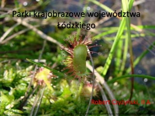 Parki krajobrazowe województwa
Łódzkiego
Robert Czyżyński, II A
Prezentacja jest pełna jedynie z tekstem (plik .docx), zawiera animacje.
 