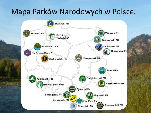 Na Mapie Polski Zaznaczono Wybrane Parki Narodowe Zapisz Ich Nazwy Parki narodowe - istotne informacje