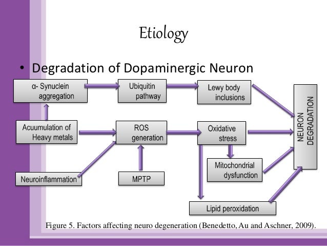 PARKINSONISM PATHOPHYSIOLOGY EBOOK PARKINSONISM PATHOPHYSIOLOGY EBOOK