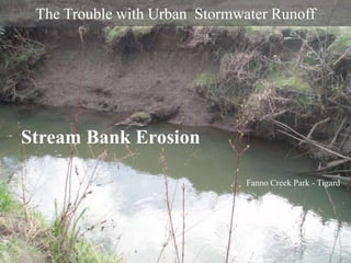 The Trouble with Urban Stormwater Runoff

Stream Bank Erosion
Fanno Creek Park - Tigard

 
