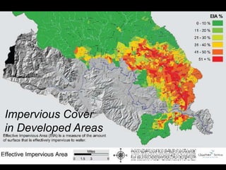 Impervious Cover
in Developed Areas

 