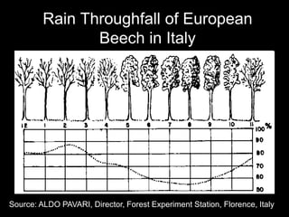 Rain Throughfall of European
Beech in Italy

Source: ALDO PAVARI, Director, Forest Experiment Station, Florence, Italy

 