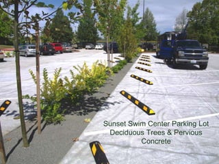 Sunset Swim Center Parking Lot
Deciduous Trees & Pervious
Concrete

 