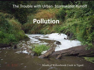 The Trouble with Urban Stormwater Runoff

Pollution

Mouth of Willowbrook Creek in Tigard

 