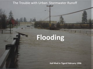 The Trouble with Urban Stormwater Runoff

Flooding

Hall Blvd in Tigard February 1996

 