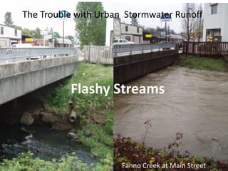 The Trouble with Urban Stormwater Runoff

Flashy Streams

Fanno Creek at Main Street

 