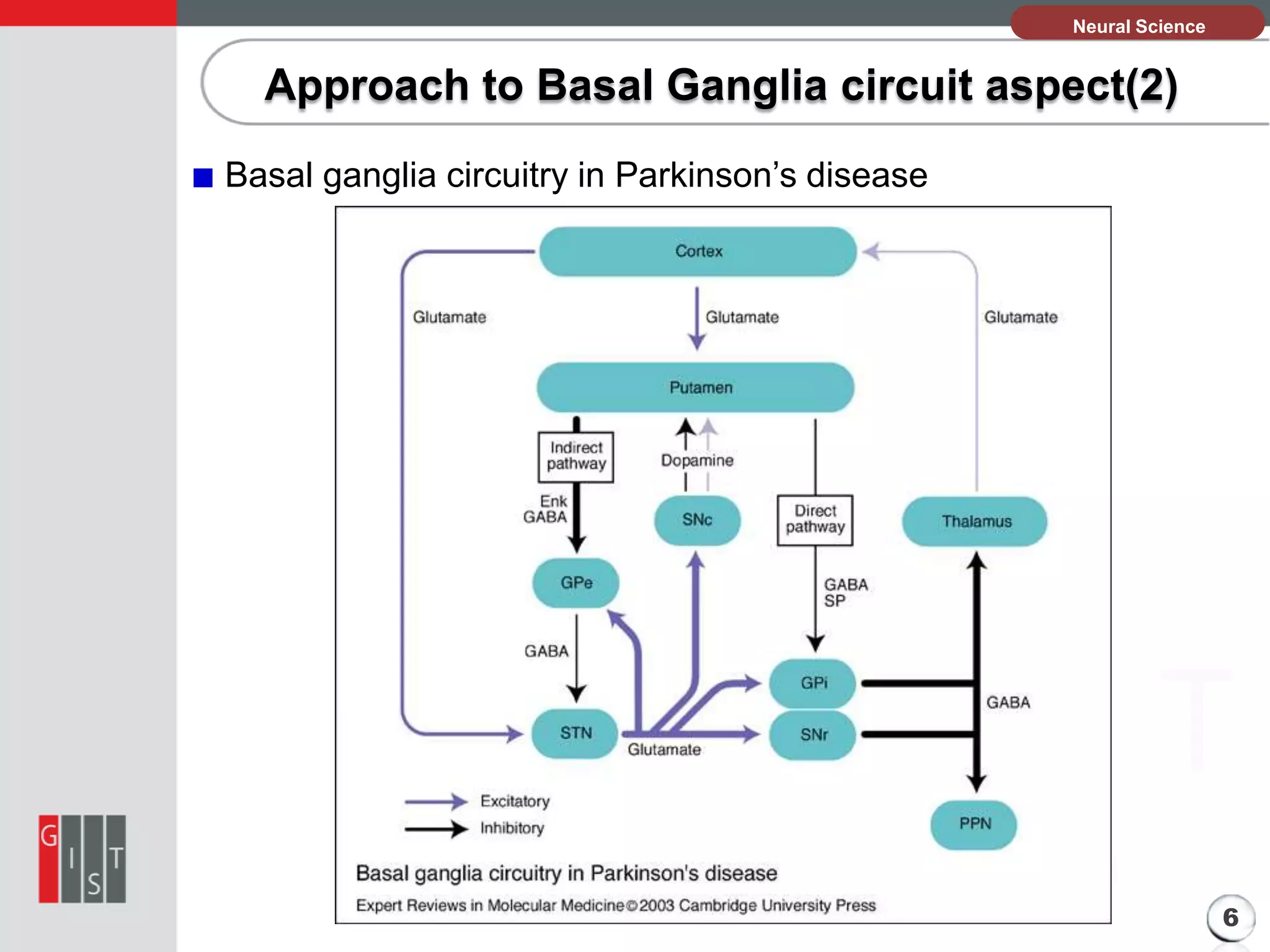 본Neural Science
과제의 기본 정보

Approach to Basal Ganglia circuit aspect(2)
Basal ganglia circuitry in Parkinson’s disease

6

 