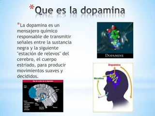 *
* La dopamina es un
mensajero químico
responsable de transmitir
señales entre la sustancia
negra y la siguiente
"estación de relevos" del
cerebro, el cuerpo
estriado, para producir
movimientos suaves y
decididos.
 