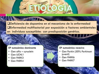 EP autosómico dominante
• Gen alfa – synuclein
• Gen UCHL1
• Gen PARK3
• Gen PARK4
EP autosómico recesivo
• Gen Parkin (50% Parkinson
juvenil)
• Gen PARK6
• Gen PARK7
Deficiencia de dopamina en el mecanismo de la enfermedad
Enfermedad multifactorial por exposición a factores ambientales
en individuos susceptibles con predisposición genética.
 