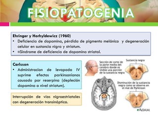 Ehringer y Horhyldewicz (1960)
• Deficiencia de dopamina, pérdida de pigmento melánico y degeneración
celular en sustancia nigra y striatum.
• «Sindrome de deficiencia de dopamina striatal.
Interrupción de vías nigroestriatales
con degeneración transináptica.
Carlsson
• Administracion de levopoda IV
suprime efectos parkinsonianos
causado por reserpina (depleción
dopamina a nivel striatum).
 