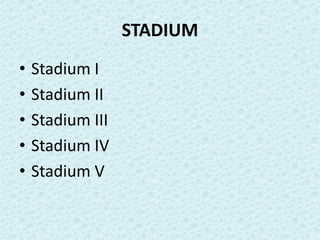 STADIUM
• Stadium I
• Stadium II
• Stadium III
• Stadium IV
• Stadium V
 