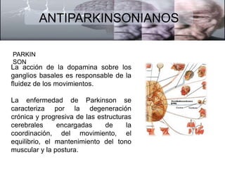 ANTIPARKINSONIANOS 
PARKIN 
SON 
La acción de la dopamina sobre los 
ganglios basales es responsable de la 
fluidez de los movimientos. 
La enfermedad de Parkinson se 
caracteriza por la degeneración 
crónica y progresiva de las estructuras 
cerebrales encargadas de la 
coordinación, del movimiento, el 
equilibrio, el mantenimiento del tono 
muscular y la postura. 
 
