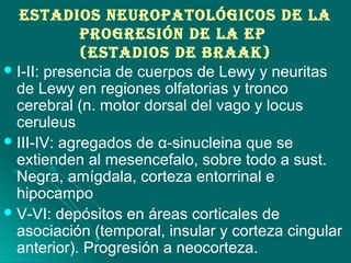 ESTADIOS NEUrOPATOLóGIcOS DE LA
PrOGrESIóN DE LA EP
(ESTADIOS DE BrAAk)
I-II: presencia de cuerpos de Lewy y neuritas
de Lewy en regiones olfatorias y tronco
cerebral (n. motor dorsal del vago y locus
ceruleus
III-IV: agregados de α-sinucleina que se
extienden al mesencefalo, sobre todo a sust.
Negra, amígdala, corteza entorrinal e
hipocampo
V-VI: depósitos en áreas corticales de
asociación (temporal, insular y corteza cingular
anterior). Progresión a neocorteza.
 