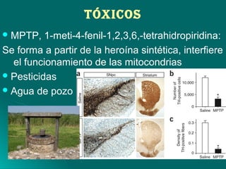 TóxIcOS
MPTP, 1-meti-4-fenil-1,2,3,6,-tetrahidropiridina:
Se forma a partir de la heroína sintética, interfiere
el funcionamiento de las mitocondrias
Pesticidas
Agua de pozo
 