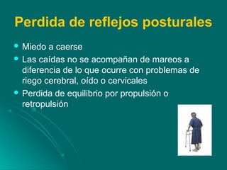Perdida de reflejos posturales
 Miedo a caerse
 Las caídas no se acompañan de mareos a
diferencia de lo que ocurre con problemas de
riego cerebral, oído o cervicales
 Perdida de equilibrio por propulsión o
retropulsión
 