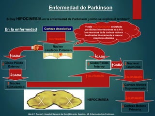 Corteza Asociativa
Núcleo
caudado/ Putamen
Globo Pálido
Interno
GABA
GABA Núcleos
Talámicos
Corteza Motora
Suplementaria
GLUTAMATO
GLUTAMATO
Corteza Motora
Primaria
GLUTAMATO
Globo Pálido
Externo
Núcleo
Subtalámico
GABA
GABA GLUTAMATO
Enfermedad de Parkinson
Si hay HIPOCINESIA en la enfermedad de Parkinson ¿cómo se explica el temblor?
D1D2
HIPOCINESIA
D2
En la enfermedad
Como consecuencia de la degeneración de
la sustancia negra y la reducción de la
dopamina estriatal o la que va dirigida
hacia el cuerpo estriado, se produce una
HIPERACTIVIDAD de las interneuronas
colinérgicas del estriado
Y esta ACETILCOLINA secretada
por dichas interneuronas va a ir a
las neuronas de la corteza motora
destinadas básicamente a inervar
miembros distales
Micó C, Porras S. Hospital General de Elda (Alicante, España – UE. Enfermedad de Parkinson
 