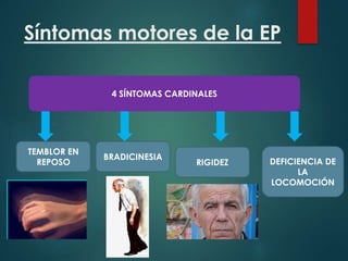 Síntomas motores de la EP
4 SÍNTOMAS CARDINALES
TEMBLOR EN
REPOSO
BRADICINESIA
RIGIDEZ DEFICIENCIA DE
LA
LOCOMOCIÓN
 