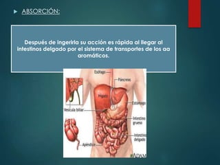  ABSORCIÓN:
Después de ingerirla su acción es rápida al llegar al
intestinos delgado por el sistema de transportes de los aa
aromáticos.
 