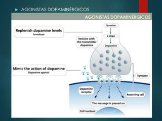  AGONISTAS DOPAMINÉRGICOS
 