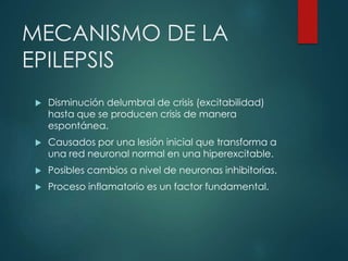 MECANISMO DE LA
EPILEPSIS
 Disminución delumbral de crisis (excitabilidad)
hasta que se producen crisis de manera
espontánea.
 Causados por una lesión inicial que transforma a
una red neuronal normal en una hiperexcitable.
 Posibles cambios a nivel de neuronas inhibitorias.
 Proceso inflamatorio es un factor fundamental.
 