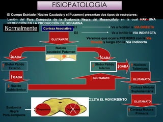 Corteza Asociativa
Núcleo
caudado/ Putamen
Globo Pálido
Interno
GABA
GABA Núcleos
Talámicos
Corteza Motora
Suplementaria
GLUTAMATO
GLUTAMATO
Corteza Motora
Primaria
GLUTAMATO
Globo Pálido
Externo
Núcleo
Subtalámico
GABA
GABA GLUTAMATO
Lesión del Pars Compacta de la Sustancia Negra del Mesencéfalo en la cual HAY UNA
REDUCCIÓN EN LA PRODUCCIÓN DE DOPAMINA
D1
Dopamina
FACILITA EL MOVIMIENTO
Normalmente
El Cuerpo Estriado (Núcleo Caudado y el Putamen) presentan dos tipos de receptores;
D1 Va a facilitar la VIA DIRECTA
D2 Va a inhibir la VIA INDIRECTA
Sustancia
Negra
Pars compacta
Veremos que ocurre PRIMERO con la Vía
Directa y luego con la Vía Indirecta
D2
Dopamina
FISIOPATOLOGIA
 